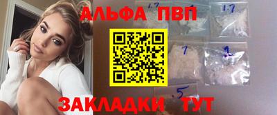 бошки Кингисепп