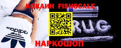 бошки Кингисепп
