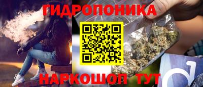 бошки Кингисепп