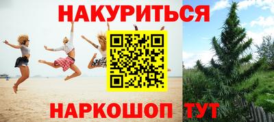 крисы Кимры