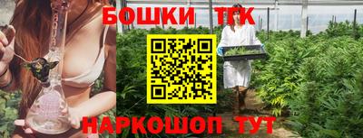 бошки Кингисепп