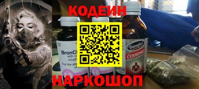 бошки Кингисепп