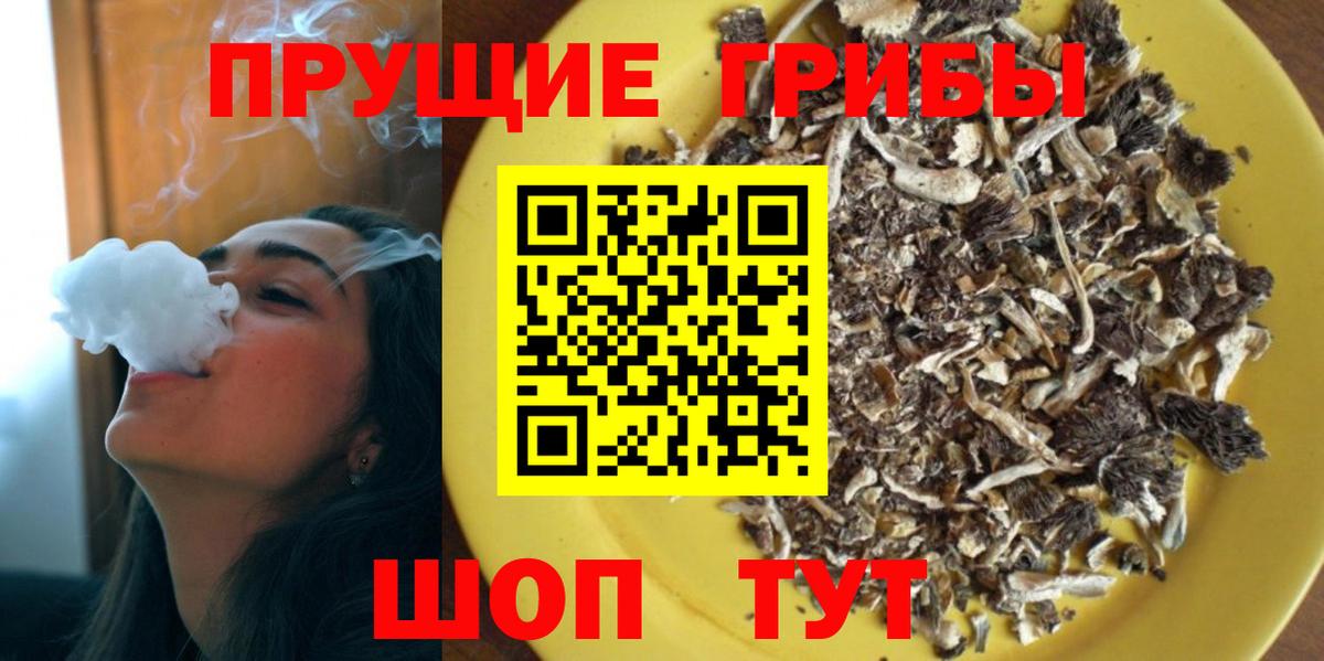Галлюциногенные грибы GOLDEN TEACHER  Вход с VPN  Шадринск 